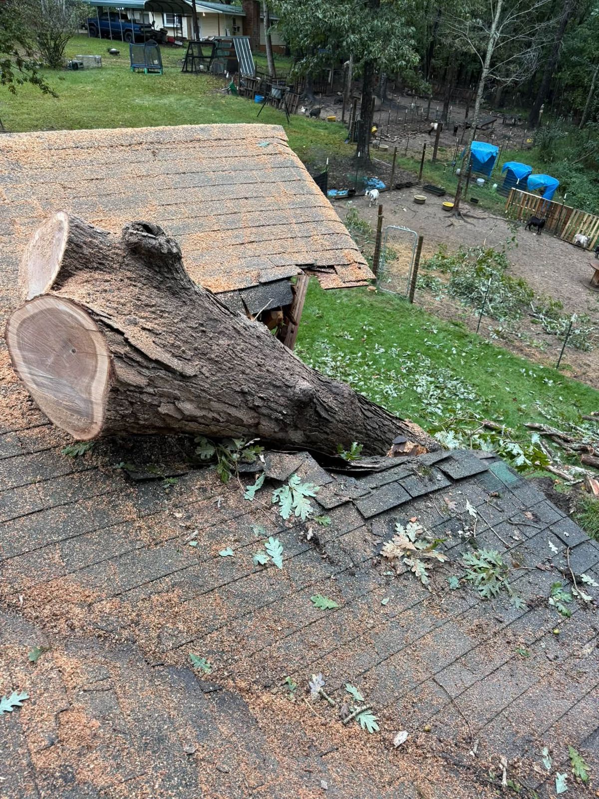 Tree down on a roof after a storm